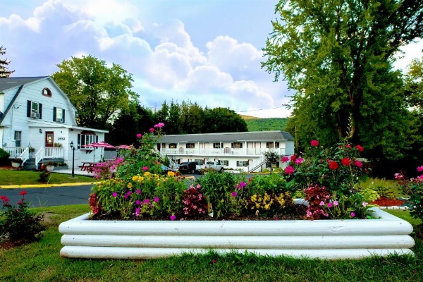 Willows Motel image 13