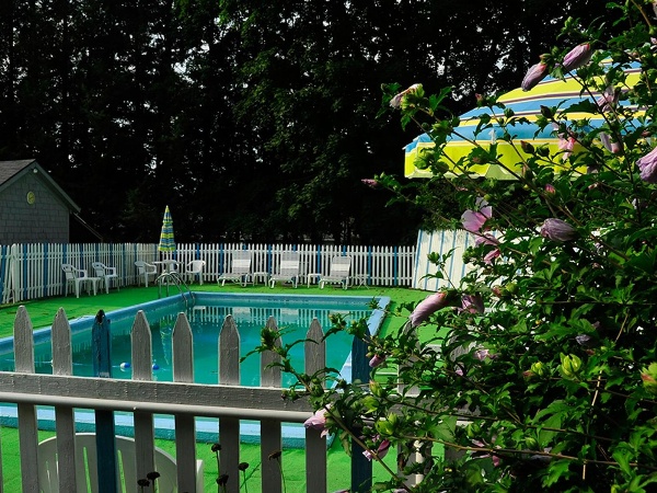 Willows Motel image 3